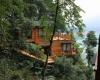 Baca Architects在可可豆荚上为巴拿马生态度假村提供树屋酒店