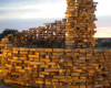 房产信息：尼古拉波利斯斯基的SELPO展馆覆盖了成千上万的木屑
