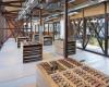 由SHoP Architects设计的纽约最高木结构建筑计划的开发商取消了该项目
