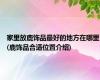 家里放鹿饰品最好的地方在哪里(鹿饰品合适位置介绍)