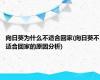 向日葵为什么不适合回家(向日葵不适合回家的原因分析)
