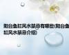 阳台鱼缸风水禁忌有哪些(阳台鱼缸风水禁忌介绍)