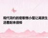 现代简约的密歇根小屋让湖滨生活看起来很棒