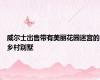 威尔士出售带有美丽花园迷宫的乡村别墅