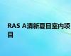 RAS A清新夏日室内项目