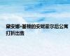 黛安娜·基顿的安妮霍尔后公寓打折出售