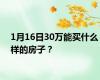 1月16日30万能买什么样的房子？