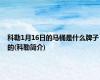 科勒1月16日的马桶是什么牌子的(科勒简介)