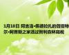 1月18日 阿吉洛·佩德拉扎的普提特尔·阿普斯之家透过智利森林窥视