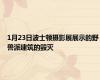 1月23日波士顿摄影展展示的野兽派建筑的毁灭