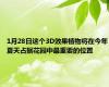 1月28日这个3D效果植物将在今年夏天占据花园中最重要的位置