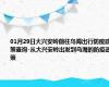 01月29日大兴安岭前往乌海出行防疫政策查询-从大兴安岭出发到乌海的防疫政策