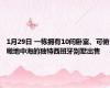 1月29日 一栋拥有10间卧室、可俯瞰地中海的独特西班牙别墅出售