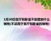 1月30日客厅和卧室不能摆放什么植物(不适用于客厅和卧室的植物)