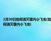 1月30日如何消灭屋内小飞虫(如何消灭屋内小飞虫)