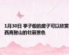 1月30日 亭子般的房子可以欣赏西高智山的壮丽景色
