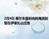 2月4日 墨尔本最时尚的海滨别墅在伊莱扎山出售