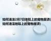 如何清洁2月7日地毯上的宠物尿渍(如何清洁地毯上的宠物尿渍)