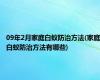 09年2月家庭白蚁防治方法(家庭白蚁防治方法有哪些)