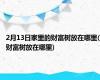 2月13日家里的财富树放在哪里(财富树放在哪里)