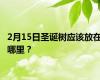 2月15日圣诞树应该放在哪里？