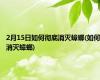 2月15日如何彻底消灭蟑螂(如何消灭蟑螂)