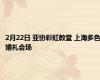 2月22日 亚协彩虹教堂 上海多色婚礼会场