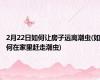 2月22日如何让房子远离潮虫(如何在家里赶走潮虫)