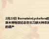 2月23日 BornsteinLyckefors的原木博物馆纪念芬兰刀耕火种农民的遗产