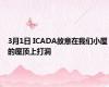 3月1日 ICADA故意在我们小屋的屋顶上打洞
