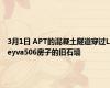 3月1日 APT的混凝土隧道穿过Leyva506房子的旧石墙