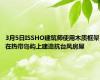 3月5日ISSHO建筑师使用木质框架在热带岛屿上建造抗台风房屋