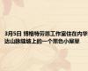 3月5日 博格特劳恩工作室住在内华达山脉陡坡上的一个黑色小屋里