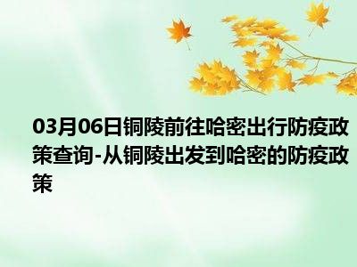 03月06日铜陵前往哈密出行防疫政策查询