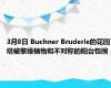 3月8日 Buchner Bruderle的花园塔被攀缘植物和不对称的阳台包围