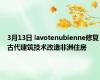 3月13日 lavotenubienne修复古代建筑技术改造非洲住房
