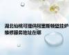 湖北仙桃可提供阿里斯顿壁挂炉维修服务地址在哪