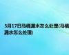 3月17日马桶漏水怎么处理(马桶漏水怎么处理)