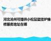 河北沧州可提供小松鼠壁挂炉维修服务地址在哪