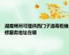 湖南郴州可提供西门子消毒柜维修服务地址在哪
