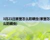 3月21日家里怎么防螨虫(家里怎么防螨虫)