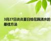 3月27日炎炎夏日给花园浇水的最佳方法
