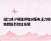 湖北咸宁可提供每时乐电压力锅维修服务地址在哪