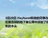 3月29日 Hayhurst和他的同事在伦敦北部的地下室公寓中添加了烧焦的木头
