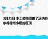3月31日 本土植物覆盖了沃纳菲尔德德州小屋的屋顶