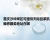 重庆沙坪坝区可提供天际豆浆机维修服务地址在哪