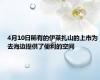 4月10日稀有的伊莱扎山的上市为去海边提供了便利的空间