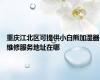 重庆江北区可提供小白熊加湿器维修服务地址在哪