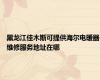 黑龙江佳木斯可提供海尔电暖器维修服务地址在哪