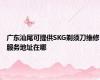 广东汕尾可提供SKG剃须刀维修服务地址在哪